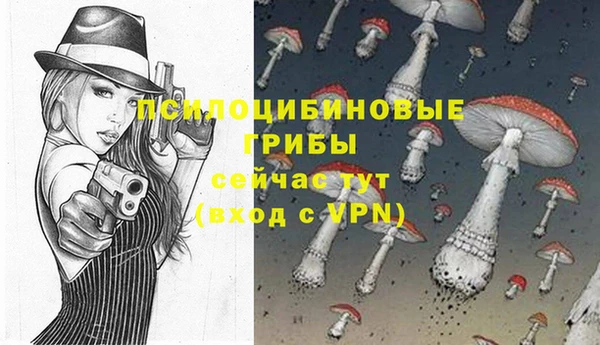 не бодяженный Аркадак