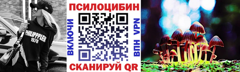 Галлюциногенные грибы Psilocybe Приволжск